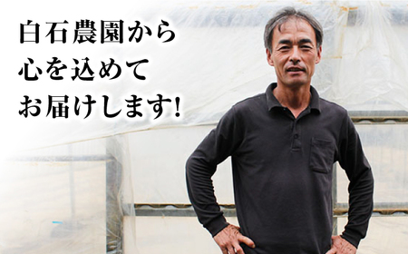 【令和6年産☆新米をお届け】 ヒノヒカリ 約 5kg 長崎 西海 米 白米 ヒノヒカリ ひのひかり 5kg  ＜白石農園＞ [CBI004]