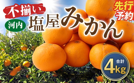＜ R8年熊本地震復興支援 ＞＜2026年10月発送予定＞【不揃い】選べる 河内 塩屋みかん 4kg 極早生みかん 熊本 国産 みかん 蜜柑 ミカン 果物 くだもの フルーツ