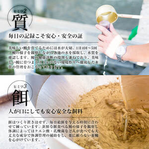 楠田のきざみうなぎ70g×4袋(計280g) うなぎ 鰻 ウナギ 国産 鹿児島県産 九州産 蒲焼き 冷凍 うな重 ひつまぶし a2-071