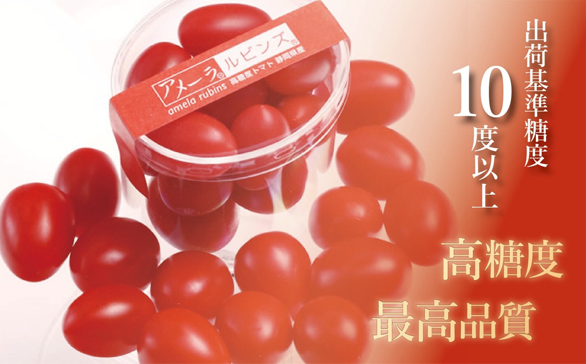 アメーラルビンズ 約60g × 10P 入り │ トマト とまと 野菜 アメーラ アメーラトマト ミニトマト プチトマト フルーツトマト 高糖度 静岡県 小山町