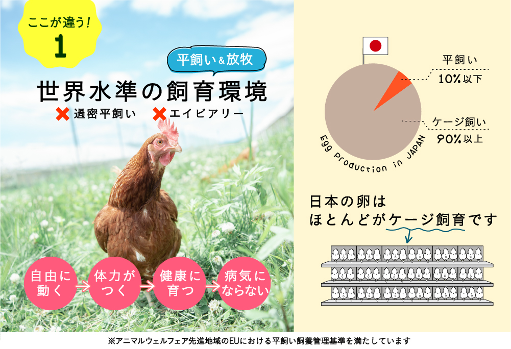 【月2回・全2回定期便】こだわりの無投薬･平飼い有精卵 25個《厚真町》【テンアール株式会社】 たまご 卵 鶏卵 玉子 生卵 平飼い 北海道 定期便 [AXAN024]