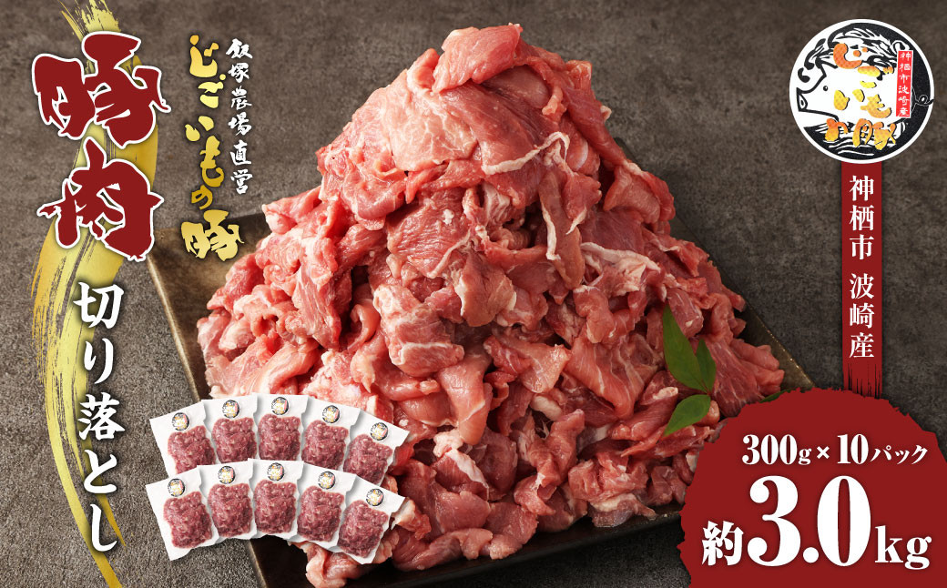 
豚肉 切り落とし 約3kg (約300g×10パック) 豚 肉 じごいもの豚 茨城県 神栖市
