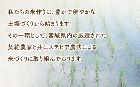 白米 10kg3 白米 白米 白米白米