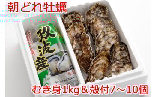 
                  オレの牡蠣 広島県大竹市産 生牡蠣 むき身＆殻付 牡蠣 Aセット｜朝どれ 生食用 かき カキ 大粒 生牡蠣 生かき 生がき 生カキ 生ガキ 殻付き むき身 剥き身 むきかき 殻むき不要 便利 人気 おすすめ 貝 シーフード オイスター 海産物 海鮮 魚介類 海の幸 海のミルク [1882]
                