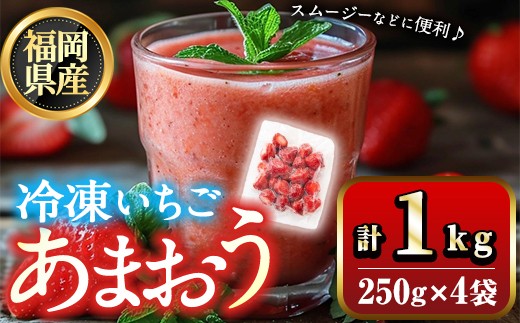福岡県産 冷凍 あまおう(1kg) 苺 いちご イチゴ ヨーグルト アイス シャーベット ジャム スムージー ＜離島配送不可＞【ksg1775】【木村食品】