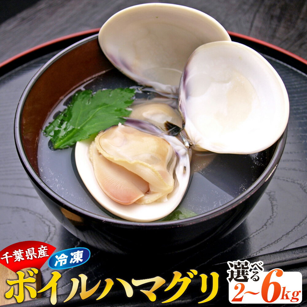 【ふるさと納税】千葉県産ボイルハマグリ 2kg〜6kg 天然 冷凍 はまぐり ハマグリ 蛤 貝 魚介 お取り寄せ グルメ ふるさと 納税 千葉県 長生村 九十九里