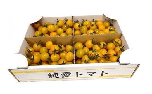 栃木県足利産のこだわりミニトマト甘さいっぱい「純愛トマト」2kg F7Z-254