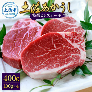 土佐和牛 特選ヒレ肉 400g 特製ソース2種類付【ステーキ用】 高知県土佐市 【株式会社松尾】 [BQBL002]