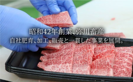 【美味しいお肉で食卓を飾る】佐賀牛 ロース 焼肉用 350g【Trade com 8】霜降り 焼肉 バーベキュー[HBO009]