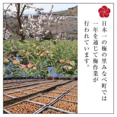 ふるさと納税 那智勝浦町 【先行受付/年内配送】梅の里からの正月飾り「門梅」【R】 |  | 01
