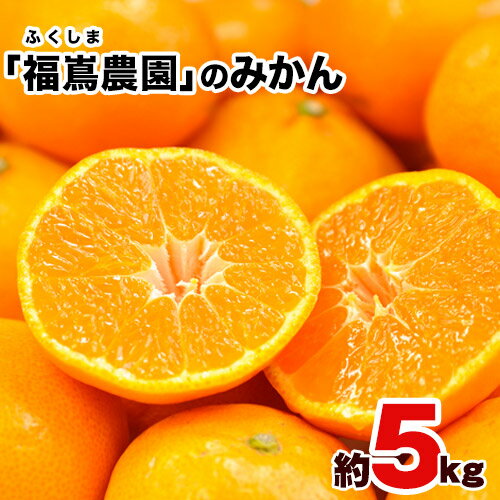 【ふるさと納税】訳あり みかん 旬 大容量 約5kg(2S-2Lサイズ) 予約受付中 フルーツ 秋 旬★熊本県玉名郡玉東町 甘みと酸味のバランスが絶妙♪『福嶌農園』みかん《11月中旬-12月末頃出荷》