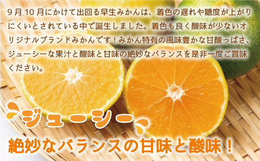 【期間限定発送】 みかん 早味かん 約 4kg [南国フルーツ 福岡県 宇美町 um40azo970031] 福岡県産 ミカン 早生みかん 早生ミカン フルーツ 果物 くだもの