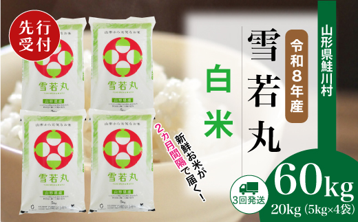 ＜令和8年産米先行受付＞ 令和8年11月上旬より配送開始 雪若丸【白米】60kg定期便(20kg×3回)　鮭川村