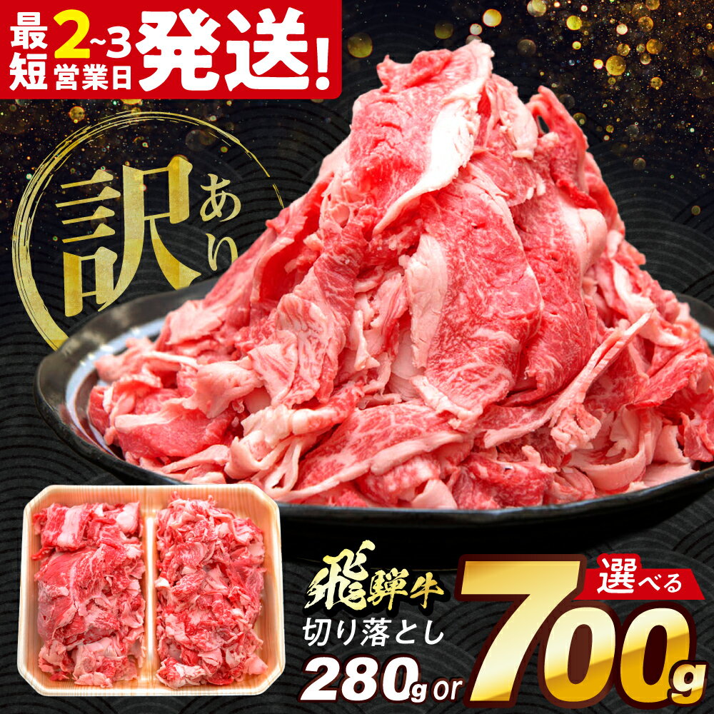 【ふるさと納税】【最短2～3営業日発送】【選べる容量】【訳あり】飛騨牛 切り落とし 280g～700g 多治見市 / 牛 牛肉 肉 国産 ブランド牛 国産牛 岐阜県 飛騨牛 牛肉 和牛 養老ミート 切り落とし 切り落し 肉 牛肉 すき焼き 冷凍 赤身 和牛 訳あり 訳アリ お試し[THG002]