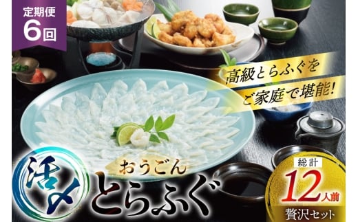 ふぐ 刺身 ふぐ鍋セット 活〆 おうごんとらふぐ 贅沢セット 2人前 6回 定期便 [松永水産 長崎県 平戸市 hr42bgy400071] ふぐ刺し とらふぐ フグ 河豚 てっさ てっちり ふぐ鍋 湯引き 魚介 さかな お刺身 刺身用 さしみ 冷凍 海鮮