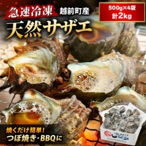 【越前海岸・美味直送シリーズ】急速冷凍サザエ　500g×4パック【配送不可地域：離島】【1318540】