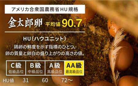 【TVで紹介！】【鮮度ＡＡ級の世界最高ランク！】金太郎卵 平飼い たまご 30個（6個×5パック）＜有限会社 フジノ香花園＞那珂川市 卵  たまご 平飼い 卵かけご飯 12000 12000円 [GA