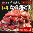 【ふるさと納税】北海道産　牧場直送　和牛切り落とし　500g×2 【 ふるさと納税 人気 おすすめ ランキング 牛 牛肉 黒毛 肉 和牛 切り落とし もも モモ バラ ばら うで ウデ 北海道 北斗市 送料無料 】 HOKQ003