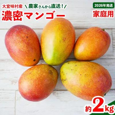 マンゴー【2026年発送】ご家庭用！濃密マンゴー《家庭用・約2kg》