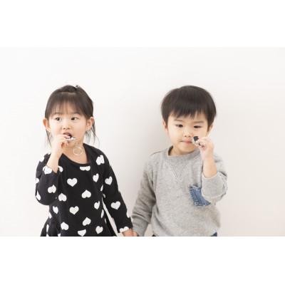 ふるさと納税 鯖江市 眼鏡の素材から生まれた、動物の形をしたお守りホイッスル　effe pensiero　チャトラ |  | 02