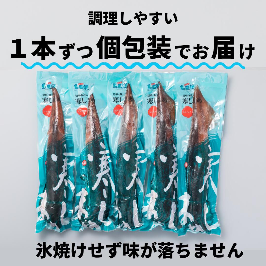 【のし付き】朝どれ寒シマメ（スルメイカ）丸ごと5本 冷凍 刺身 ＜便利な個包装＞_イメージ5