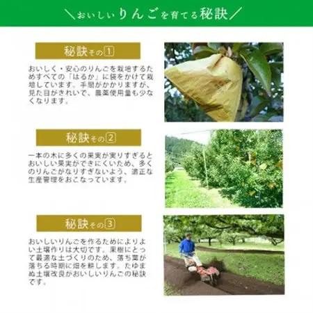 【桃沢晴香園】はるか(りんご)5kg　ご自宅用【配送不可地域：離島・沖縄県】【1606259】