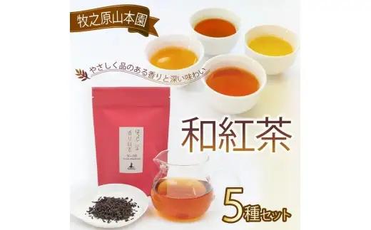 和紅茶 【 受賞歴多数  】 セレクトプレミアム 5種セット 和紅茶 