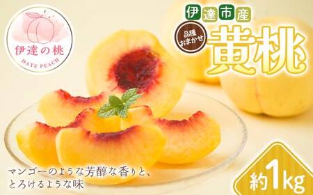 【2026年出荷分先行予約】福島県 伊達市産 黄桃 品種おまかせ 約1kg (3～5玉) 種まきうさぎ株式会社 伊達の桃 桃 フルーツ 果物 もも モモ momo  F21C-291