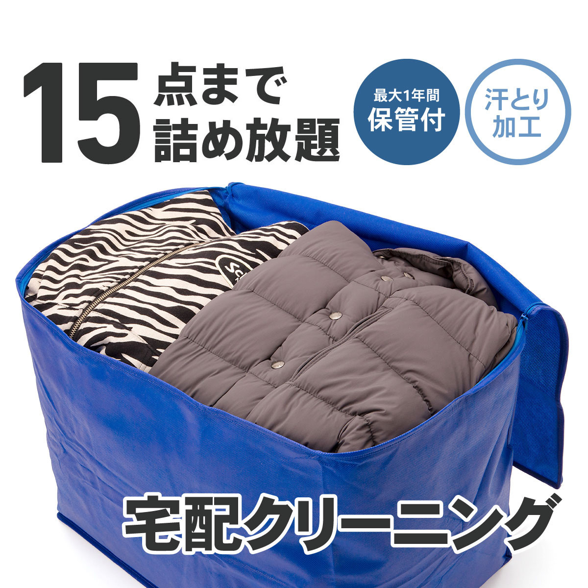 
            【秋の大感謝祭開催中！飛騨牛が抽選で当たる】【最大1年間保管付！】衣類クリーニング(15点)
          