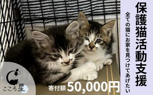 【ふるさと納税】【お礼の品なし】保護猫活動支援〜野良猫から地域で見守るさくら猫に〜 寄付額50,000円