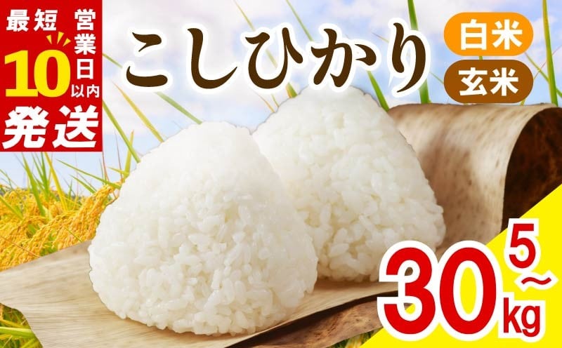 
            令和7年産 白米 玄米 5kg 10kg 20kg 30kg コシヒカリ 数量限定 選べる お米 精米 新米 ご飯 こめ はくまい おにぎり つやつや おいしい お弁当 産地直送 農家直送 贈り物 贈答  国産 新米 大和高原醸造所 奈良県 奈良市 なら 
          