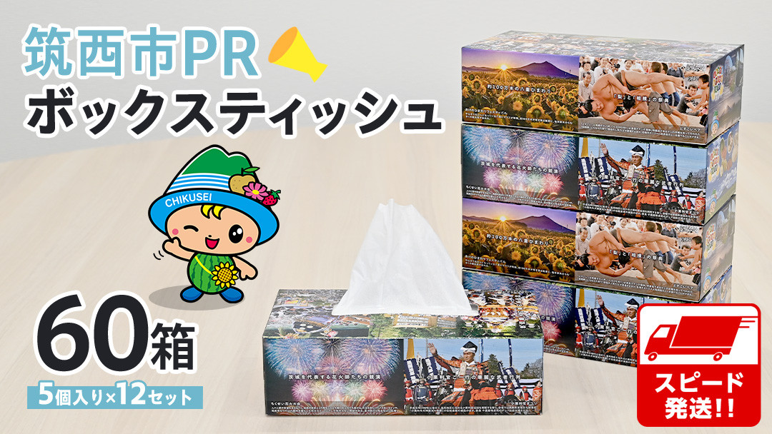 
            筑西市PR ボックスティッシュ 60箱 ( 5個入り × 12セット ) 1箱200組 400枚 パルプ100% 非売品 ティッシュ ティッシュペーパー 日用品 消耗品 常備品 まとめ買い [EN001ci]
          