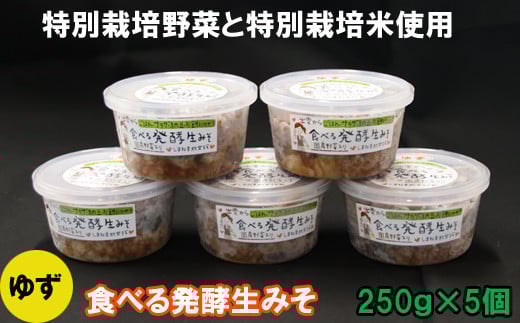 
            出雲の食べる発酵生みそ250ｇ×５個（ゆず入りのみ、発酵生みそのみ、詰合せから選択）
          