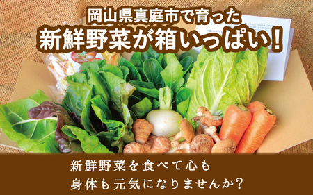 【岡山の旬をお届け！】 真庭あぐり野菜セット 7～8品 便利なカット野菜入り / 産地直送 農家 お試し おためし野菜 岡山県 旬野菜 新鮮 あぐりガーデン 国産 (yasai001) 【jujiya