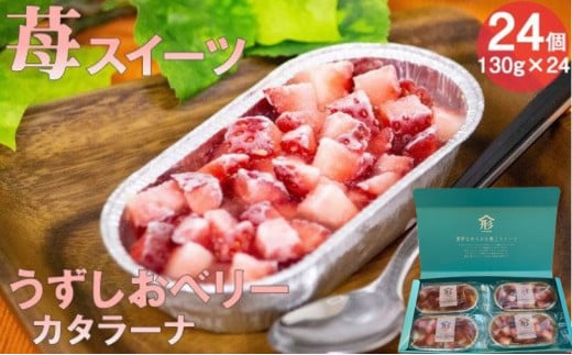 うずしおベリー カタラーナ 贅沢６箱セット（計２４個） いちごスイーツ 苺 うずしおベリー  冷凍 スイーツ ブランドいちご使用