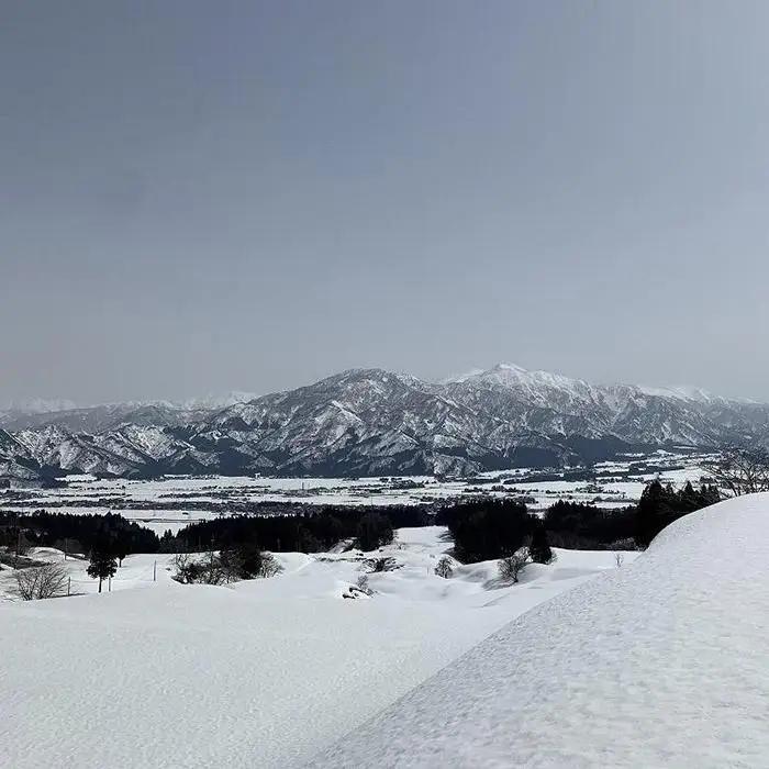 南魚沼塩沢コシヒカリ【西山の天水田米】精米10kg(5kg×2)【銘柄米 ブランド米 精米 こしひかり コシヒカリ 魚沼産 新潟米 産地直送 お米 米 こめ コメ ご飯 御飯 ごはん】