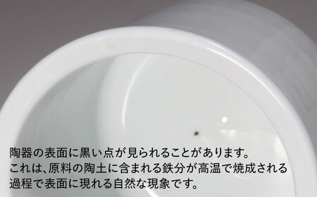 【訳あり】【有田焼】白磁 一夜漬け器 重石付き 容量500ml /やきもの工房 成[UDU014]