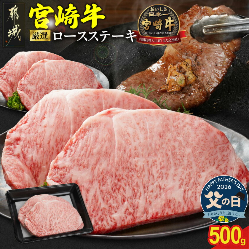 【ふるさと納税】【父の日】宮崎牛ロースステーキ2枚 計500g≪6月18日〜21日お届け≫ - 宮崎県産宮崎牛 ロースステーキ 250g×2枚 宮崎牛 ミヤチク 牛肉 ステーキ ギフト プレゼント 贈答用 送料無料 MJ-N201-FG【宮崎県都城市】