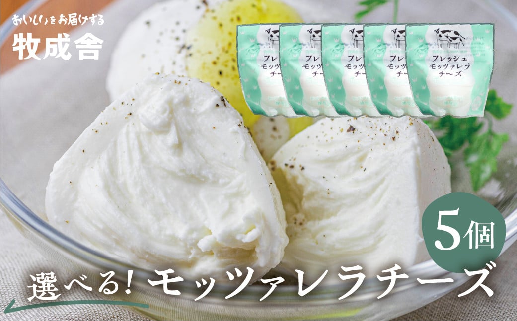 
                  【12回定期便】＜牧成舎＞牛乳屋がていねいに作ったフレッシュモッツァレラチーズ5個  チーズ モッツァレラチーズ チーズセット 冷蔵  小分け 個包装  パスタ ピザ  前菜 サラダ 低温殺菌  乳製品 飛騨市 
                