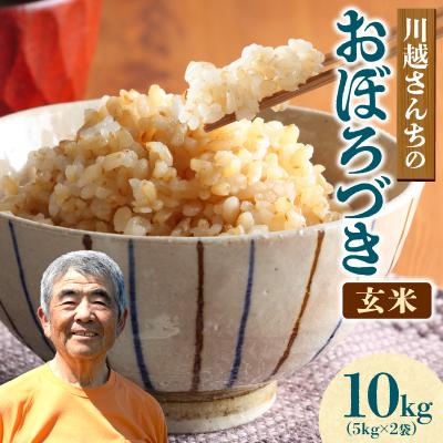 ふるさと納税 雨竜町 新米 令和8年産 10月下旬より発送 川越さんちの おぼろづき 玄米 10kg (5kg×2袋)
