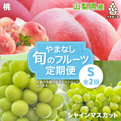 【ふるさと納税】【発送月固定定期便】やまなし旬のフルーツ定期便(桃・シャインマスカット)【S】全2回【配送不可地域：離島】【4077908】