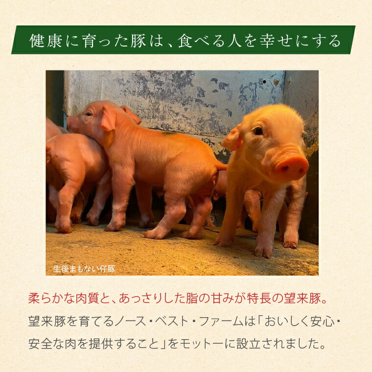 厚田のぶたまん（130g×8個）