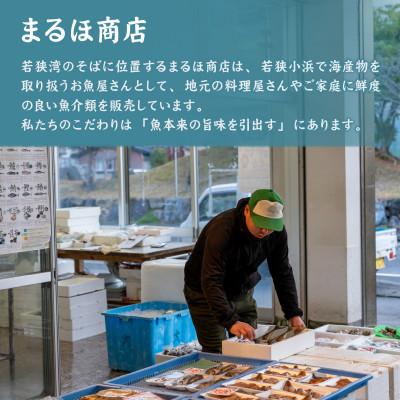 ふるさと納税 小浜市 【毎月定期便】若狭グジの一塩仕立て 500g×1尾全6回 |  | 03