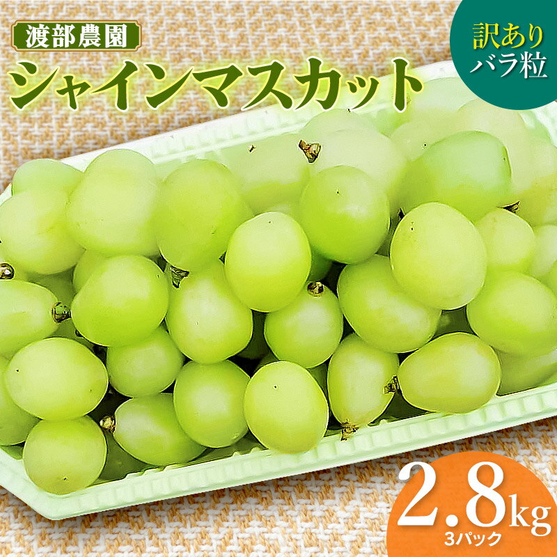 【ふるさと納税】【令和8年産先行予約】 訳あり バラ粒 シャインマスカット 約2.8kg以上(3パック入)　白品種ぶどう