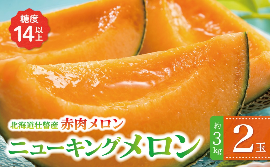
                  ＜2026年7月下旬よりお届け＞北海道壮瞥産 赤肉メロン（ニューキングメロン）2玉 約3kg【 ふるさと納税 人気 おすすめ ランキング メロン めろん ニューキングメロン 果物 甘い 赤肉 北海道 壮瞥町 送料無料 】 SBTN003
                