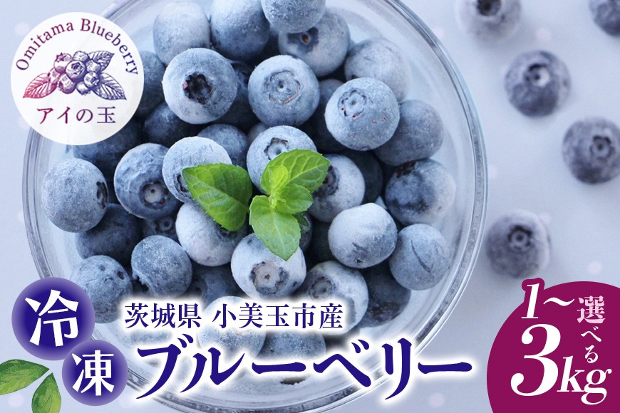
            《数量限定・期間限定》【アイの玉】冷凍ブルーベリー 選べる 1～3kg ブルーベリー 冷凍 フルーツ 果物 冷凍フルーツ 冷凍果物 くだもの 新鮮 国産 スムージー ジュース ビタミンE アントシアニン ジャム 健康 美容 食物繊維 数量限定 期間限定 73-SKU-A 【2025年10月1日～2026年5月31日順次発送予定】
          