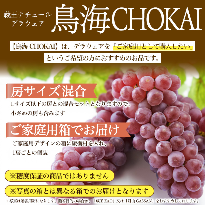 【鳥海 CHOKAI】蔵王ナチュールデラウェア 山形のデラウエア TAKUMI ORCHARD 99% ご家庭 M以上房サイズ混合 約3kg 山形 山形県 山形市 フルーツ 果物 くだもの 送料無料 