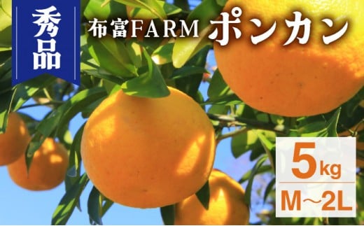 NT2-7-01＜先行予約＞【kg数が選べる】秀品ポンカンM〜2L　5kg