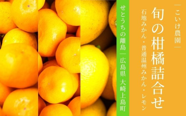 
[12〜1月発送] 大崎上島産 旬の柑橘詰合せ 石地みかん/普通温州みかん/レモン 約4kg
