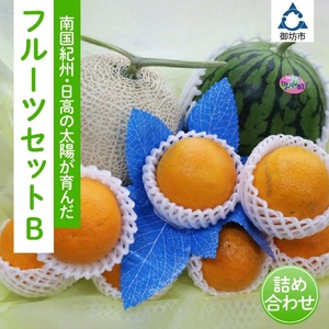 【0374-3】南国紀州・日高の太陽が育んだ季節のフルーツセットB【配送不可地域:沖縄・離島】